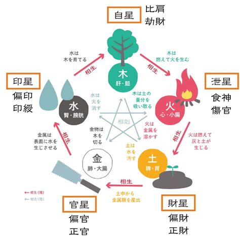 五行 相剋 結婚|四柱推命の相剋